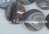 CAA106 15.5 inches 25mm coin botswana agate gemstone beads