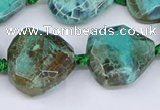 CAA1138 18*20mm - 25*35mm faceted freeform dragon veins agate beads