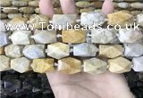 CAA3712 15*22mm - 16*25mm faceted nuggets chrysanthemum agate beads