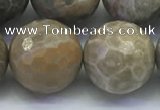 CAA3967 15.5 inches 18mm faceted round chrysanthemum agate beads