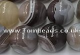 CAA4867 15.5 inches 10mm round Botswana agate beads wholesale
