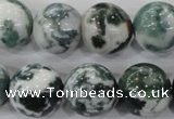 CAA705 15.5 inches 16mm round tree agate gemstone beads wholesale