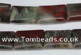 CAF01 15.5 inches 13*18mm rectangle African bloodstone beads