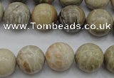CAG3885 15.5 inches 14mm round chrysanthemum agate beads