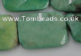 CAG3938 15.5 inches 22*30mm faceted rectangle green grass agate beads