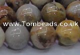 CAG6675 15.5 inches 14mm round natural crazy lace agate beads