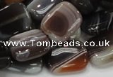 CAG739 15.5 inches 14*18mm rectangle botswana agate beads wholesale