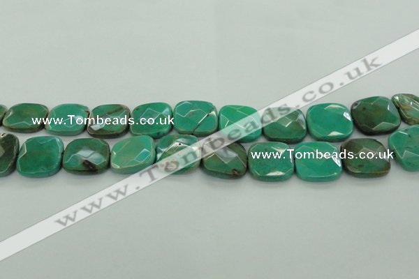 CAG7917 15.5 inches 25*25mm faceted square grass agate beads