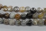 CAG971 15.5 inches 6mm round bamboo leaf agate gemstone beads