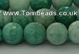 CAM1583 15.5 inches 10mm faceted round Russian amazonite beads