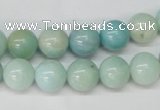 CAM601 15.5 inches 12mm round Chinese amazonite gemstone beads