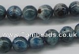 CAP06 15.5 inches 10mm round apatite gemstone beads wholesale