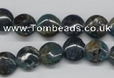 CAP08 15.5 inches 12mm flat round apatite gemstone beads wholesale