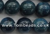CAP403 15.5 inches 10mm round A grade natural apatite beads