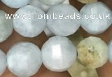 CAQ826 15.5 inches 8mm faceted round natural aquamarine beads