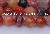 CBC403 15.5 inches 10mm A grade round orange chalcedony beads