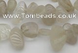 CCH622 15.5 inches 6*8mm - 10*14mm golden rutilated quartz chips beads