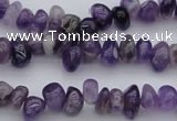 CCH649 15.5 inches 4*6mm - 5*8mm amethyst gemstone chips beads