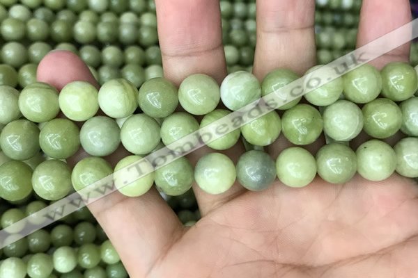 CCJ313 15.5 inches 10mm round China jade beads wholesale