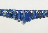 CDE1455 Top drilled 8*15mm - 10*60mm sticks sea sediment jasper beads