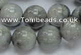 CEE06 15.5 inches 16mm round eagle eye jasper beads wholesale