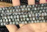 CEE510 15.5 inches 6mm round eagle eye jasper beads
