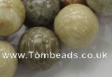 CFA05 15.5 inches 20mm round chrysanthemum agate gemstone beads