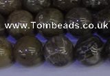CFC215 15.5 inches 14mm round grey fossil coral beads wholesale