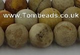 CFC224 15.5 inches 12mm round matte fossil coral beads wholesale