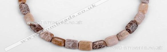 CFC50 10*14mm rectangle coral fossil jasper beads wholesale