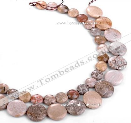 CFC53 15.5 inches flat round coral fossil jasper beads wholesale