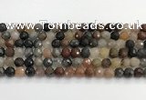 CFJ218 15.5 inches 8mm faceted round fancy jasper beads