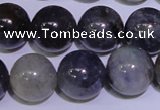 CIL05 15.5 inches 10mm round natural iolite gemstone beads