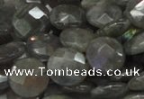 CLB14 16 inches 14mm faceted coin labradorite gemstone beads