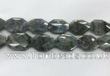 CLB799 25*30mm - 25*35mm faceted octagonal labradorite beads