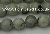 CLB853 15.5 inches 10mm round AB grade labradorite beads wholesale