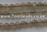 CMS1063 15.5 inches 4mm round grey moonstone beads wholesale