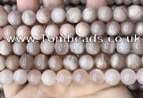 CMS1673 15.5 inches 10mm round moonstone beads wholesale