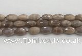 CMS1777 15.5 inches 11*18mm faceted rice AB-color moonstone beads