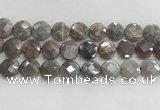 CMS1792 15.5 inches 16mm faceted coin AB-color moonstone beads