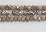 CMS1838 10*12mm - 12*16mm faceted freeform AB-color moonstone beads