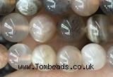 CMS2059 15.5 inches 6mm round moonstone gemstone beads