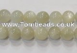 CMS311 15.5 inches 6mm round natural moonstone beads wholesale