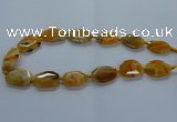 CNG2635 15.5 inches 18*28mm - 20*30mm freeform agate beads
