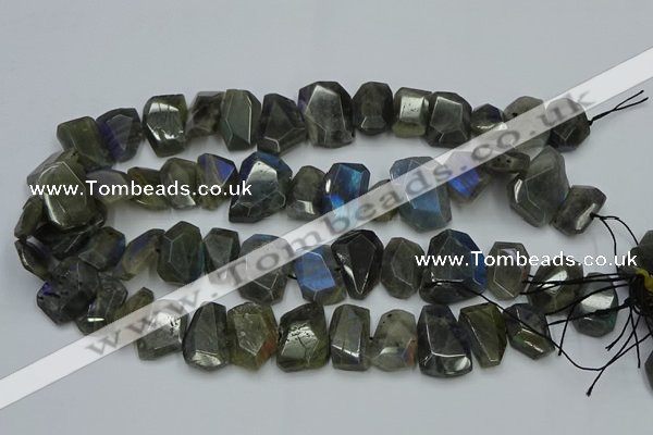 CNG2825 15.5 inches 13*18mm - 15*20mm freeform labradorite beads