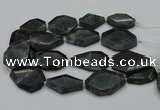 CNG5081 15.5 inches 20*30mm - 35*45mm freeform labradorite beads
