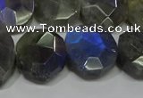 CNG5144 15.5 inches 15*18mm - 15*20mm faceted freeform labradorite beads