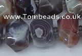 CNG5680 12*16mm - 15*20mm faceted nuggets botswana agate beads