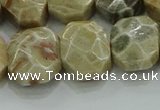 CNG5865 8*12mm - 12*16mm faceted freeform chrysanthemum agate beads