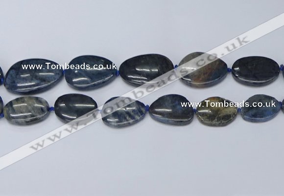 CNG7116 15.5 inches 20*25mm - 30*40mm freeform blue dumortierite beads
